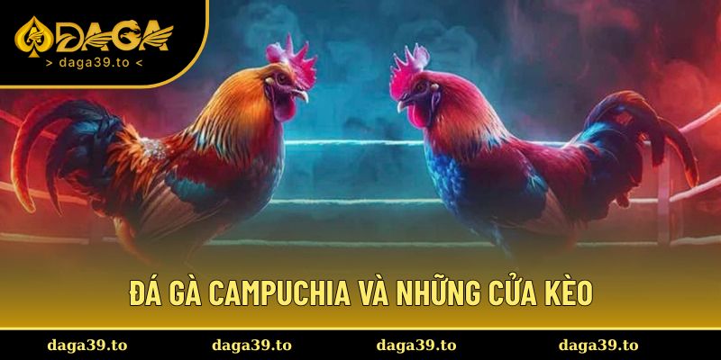 Các loại kèo đá gà phổ biến