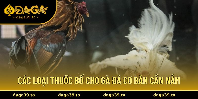 Các loại thuốc bổ cho gà đá cơ bản cần nắm