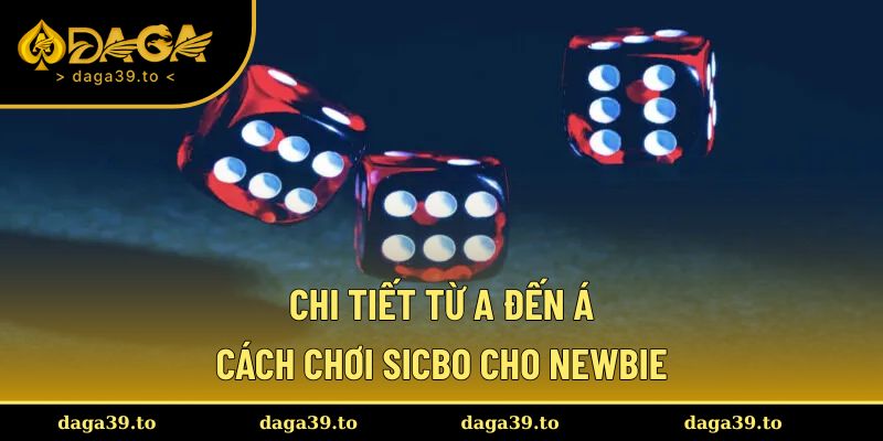 Chi tiết từ A đến Á cách chơi Sicbo cho newbie