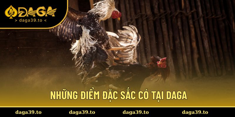 Các ưu điểm thu hút người chơi tại DAGA