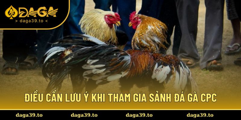 Điều cần lưu ý khi tham gia sảnh đá gà CPC