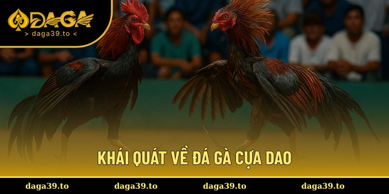 Tổng hợp thông tin về bộ môn đá gà cựa dao