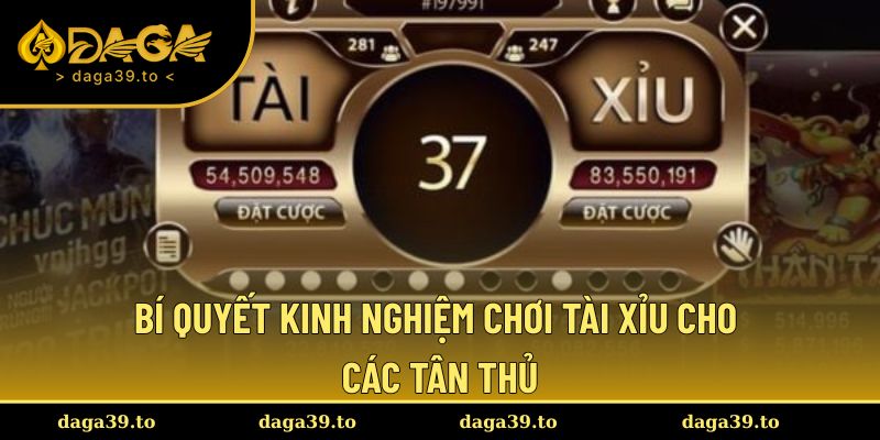 Kinh nghiệm khi tham gia dành cho các tân thủ