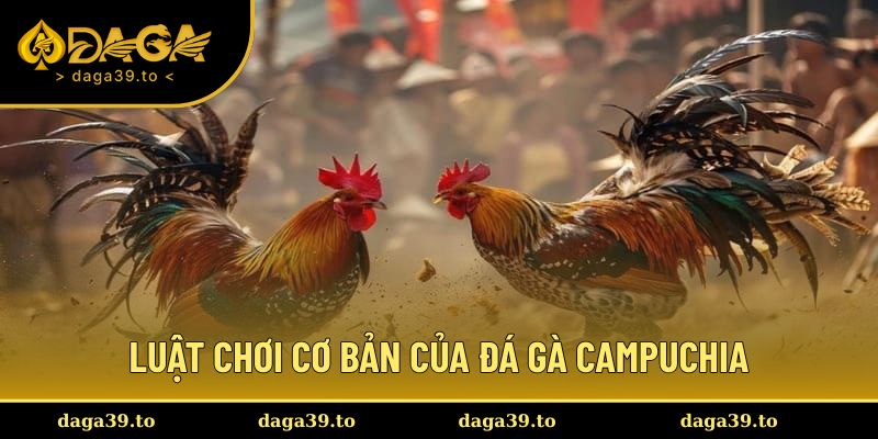 Luật chơi cơ bản của thể loại đá gà Campuchia