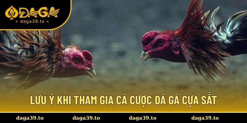Lưu ý kỹ lưỡng khi tham gia đá gà cựa sắt