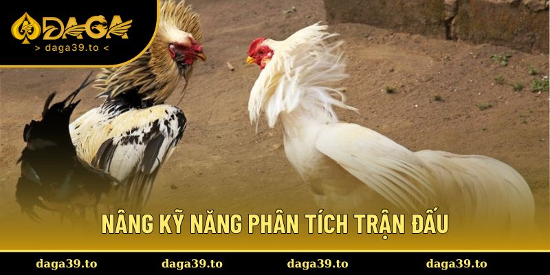 Nâng kỹ năng phân tích trận đấu tại sảnh đá gà CPC hiệu quả