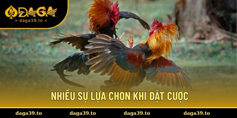 Đa dạng về lối đặt cược trong đá gà cựa dao