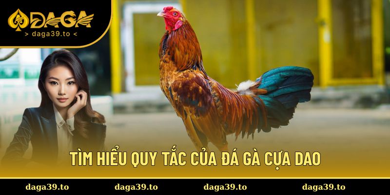 Tìm hiểu về quy định khi tham gia đặt cược
