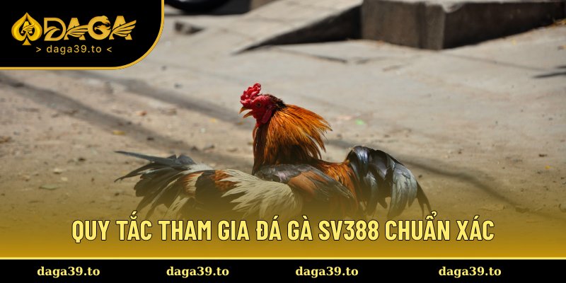 Luật thi đấu được ban hành rõ ràng