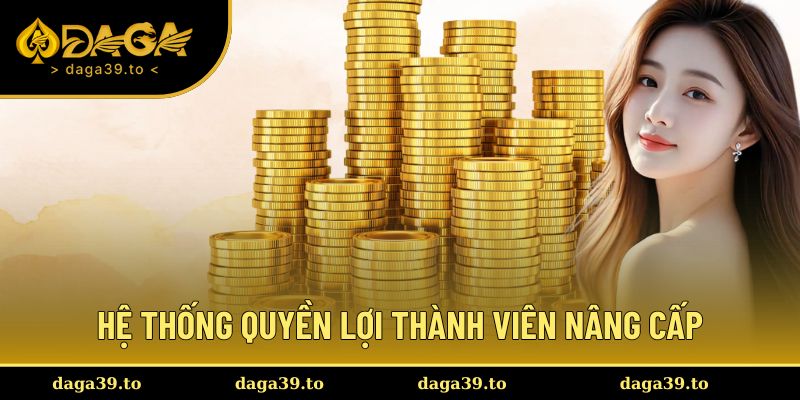 Hệ thống quyền lợi thành viên nâng cấp theo các cấp độ