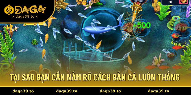 Tại sao bạn nên biết rõ đến cách săn cá đơn giản