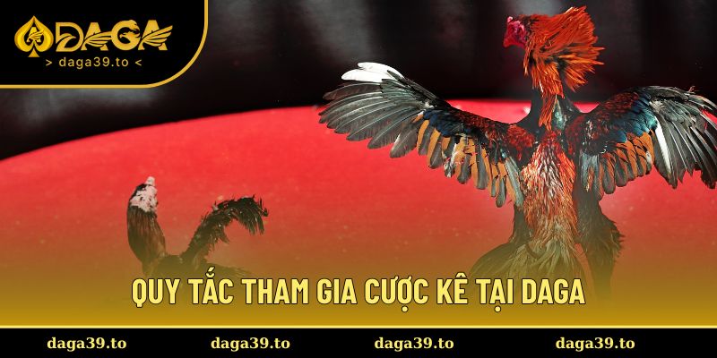 Quy tắc tham gia cược kê tại DAGA