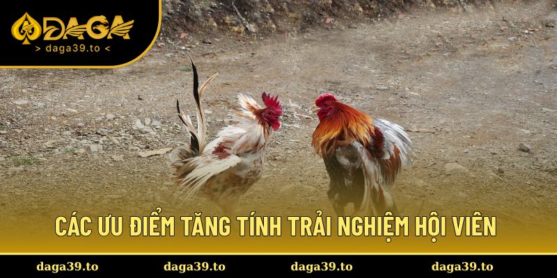 Các ưu điểm tăng tính trải nghiệm hội viên tại DAGA